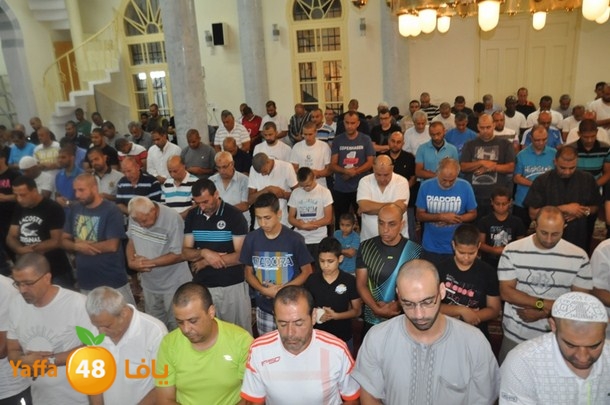 tarawe7 nozhas j (2).JPG